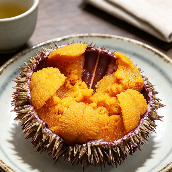 Fresh-Frozen Whole Sea Urchin